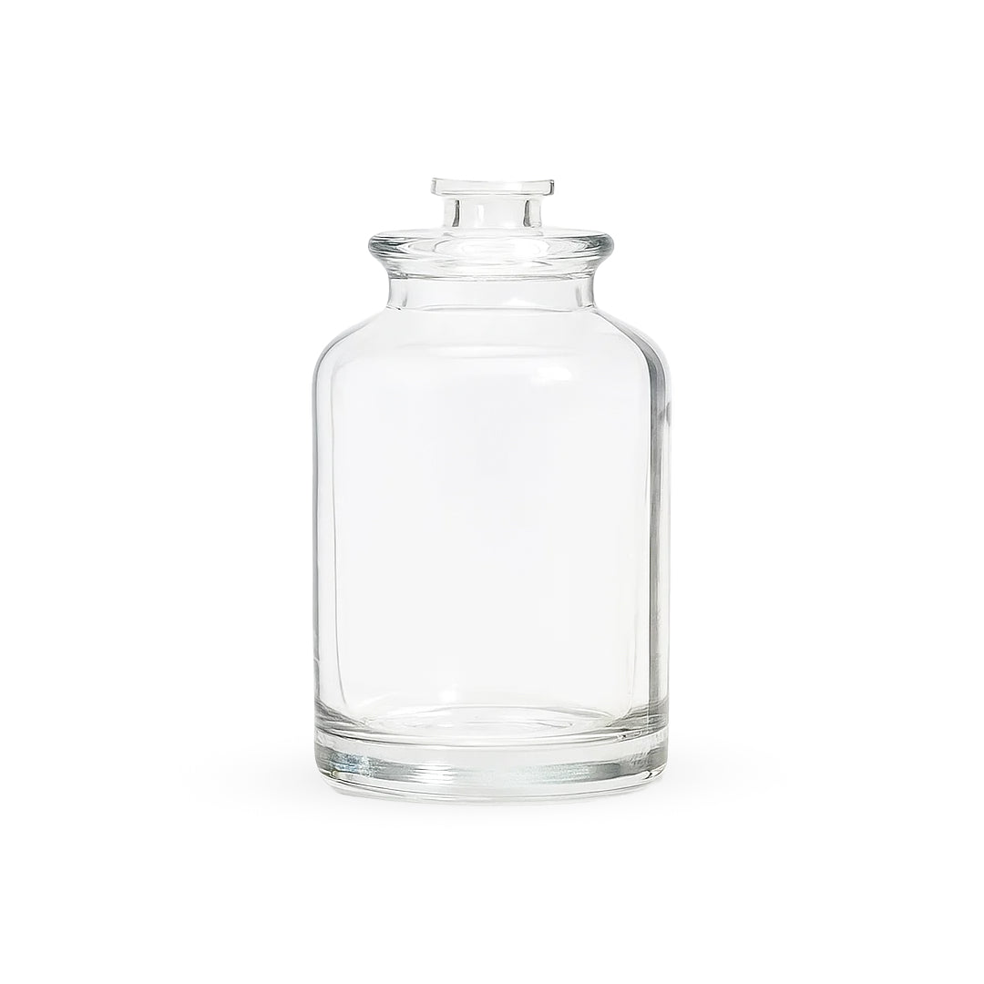 AMORE CLEAR (PACK OF 12 PCS)
